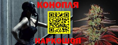 гидра Моздок