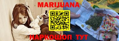 гидра Моздок