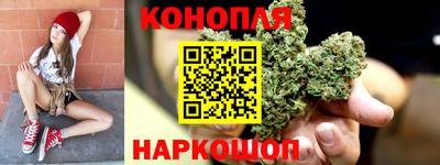индика Нальчик