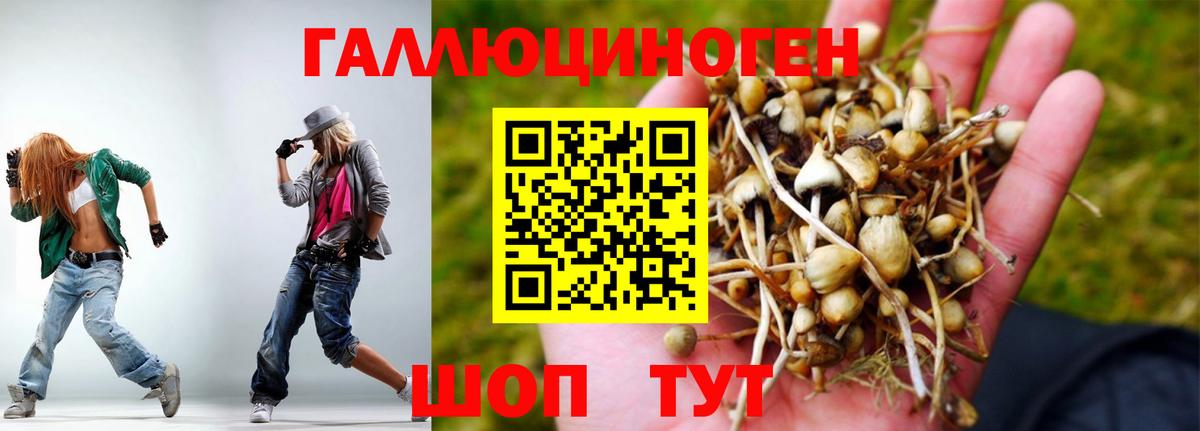 Псилоцибиновые грибы GOLDEN TEACHER  Вход с VPN  купить наркотики цена  Псилоцибиновые грибы Psilocybe  Тара 
